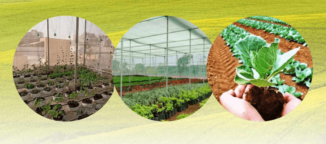 Test Premium and experienced farming service