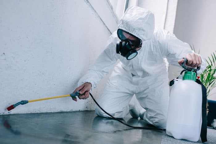 Test Pest Control Services